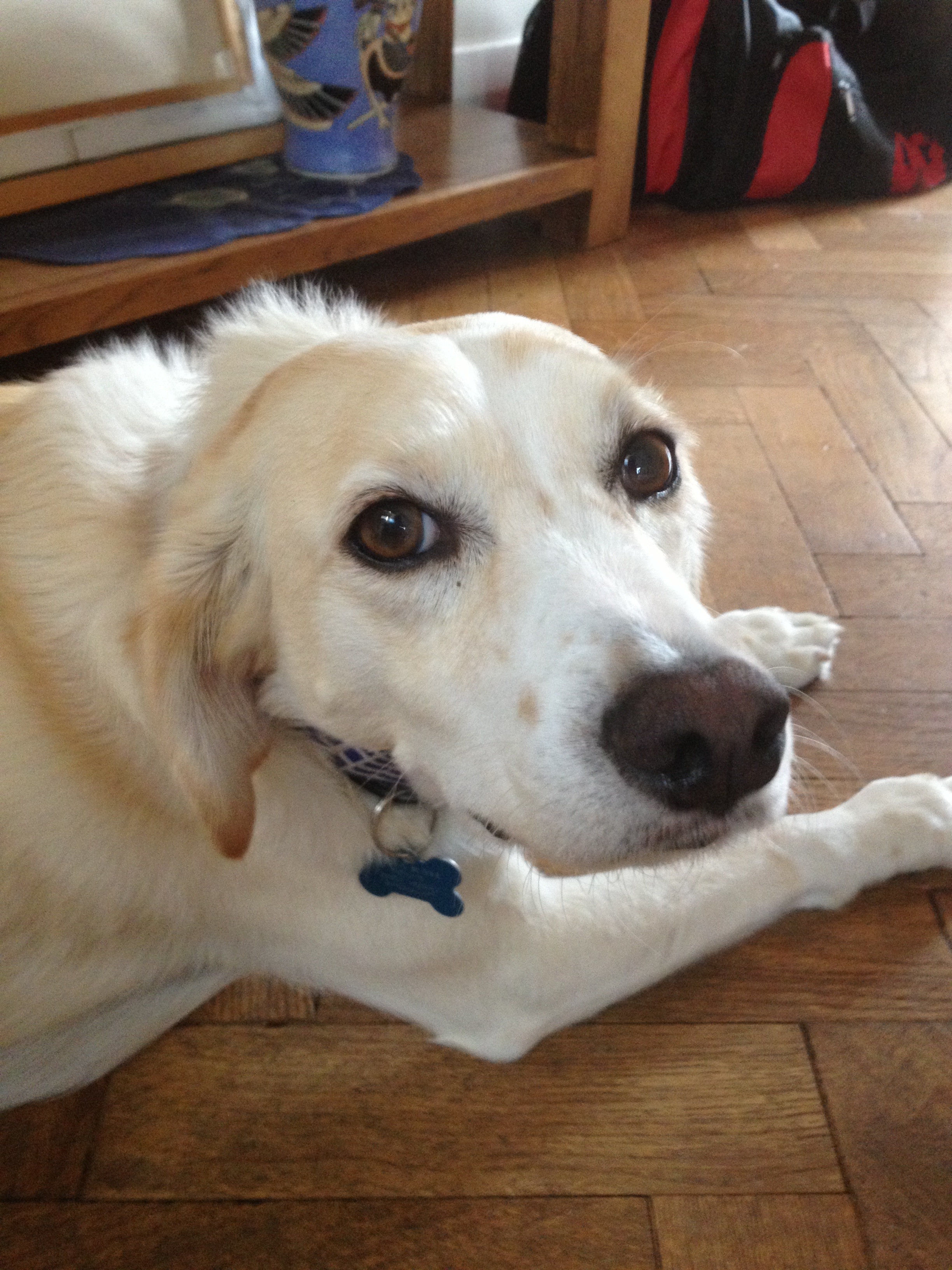 Adonis 20130725-205220.jpg