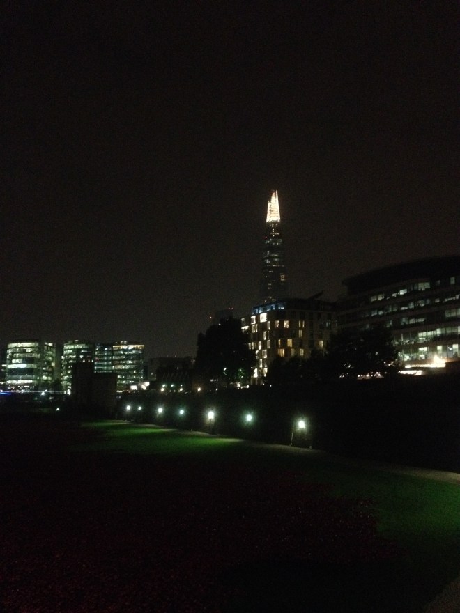 Poppies September 2014