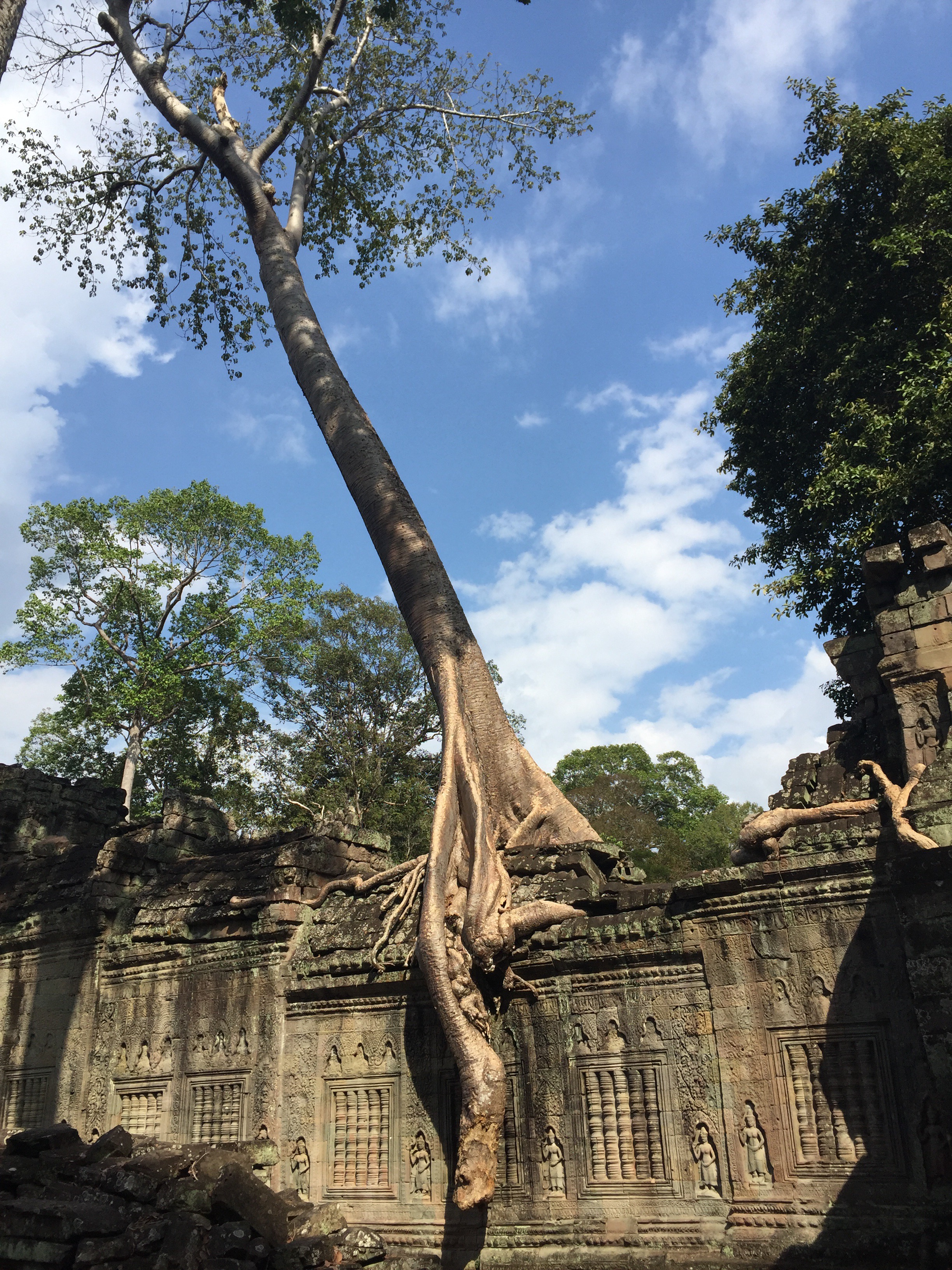 Ta Som, Angkor Wat, Cambodia