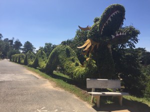 Da Lat Flower Garden, Vietnam