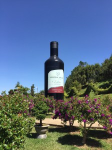 Da Lat Flower Garden, Vietnam