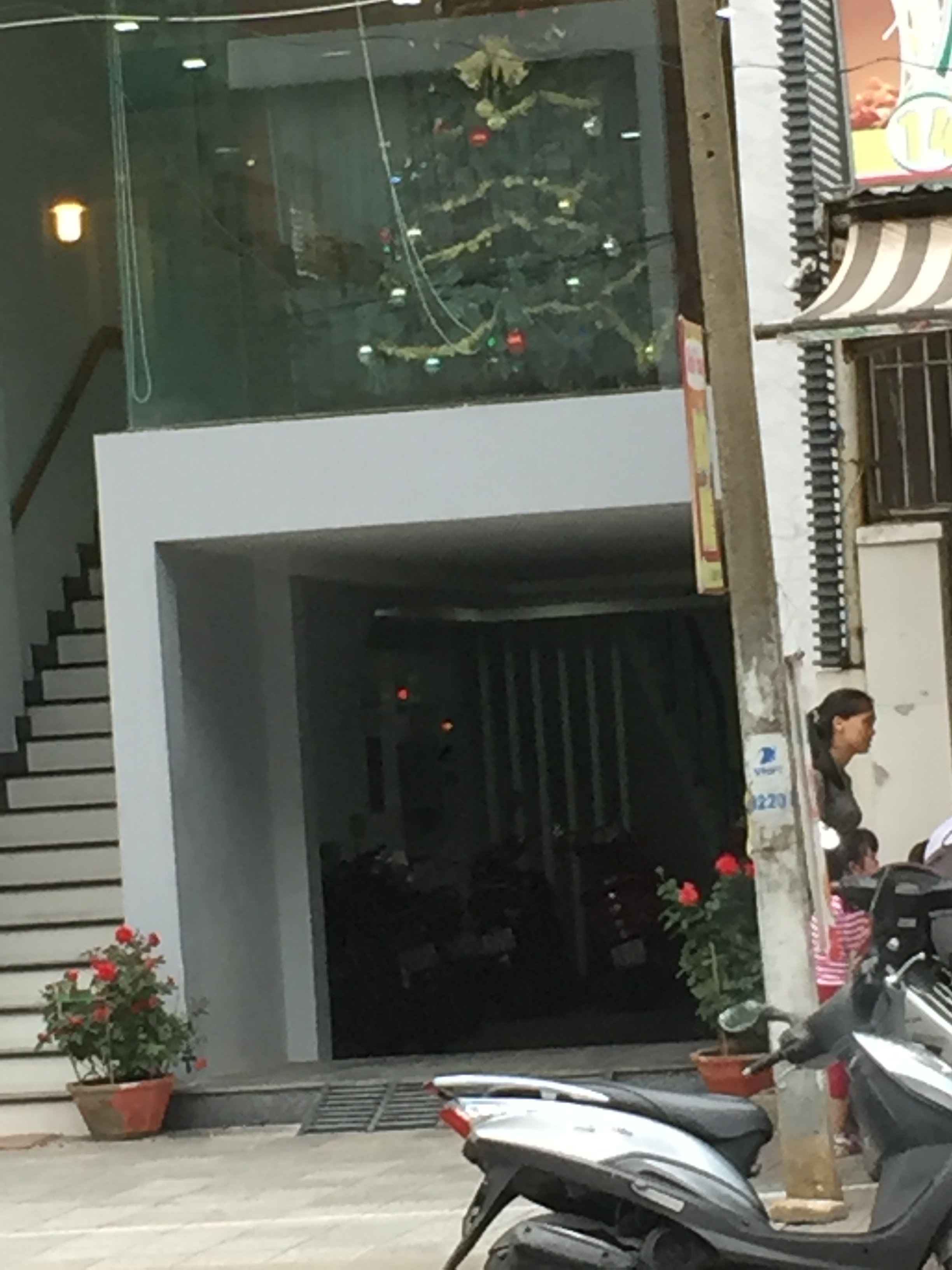 Christmas Tree in Danang Vietnema