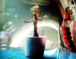 Baby Groot Dancing in a Plant Pot GIF