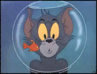 Tom and Jerry goldfish bowl head