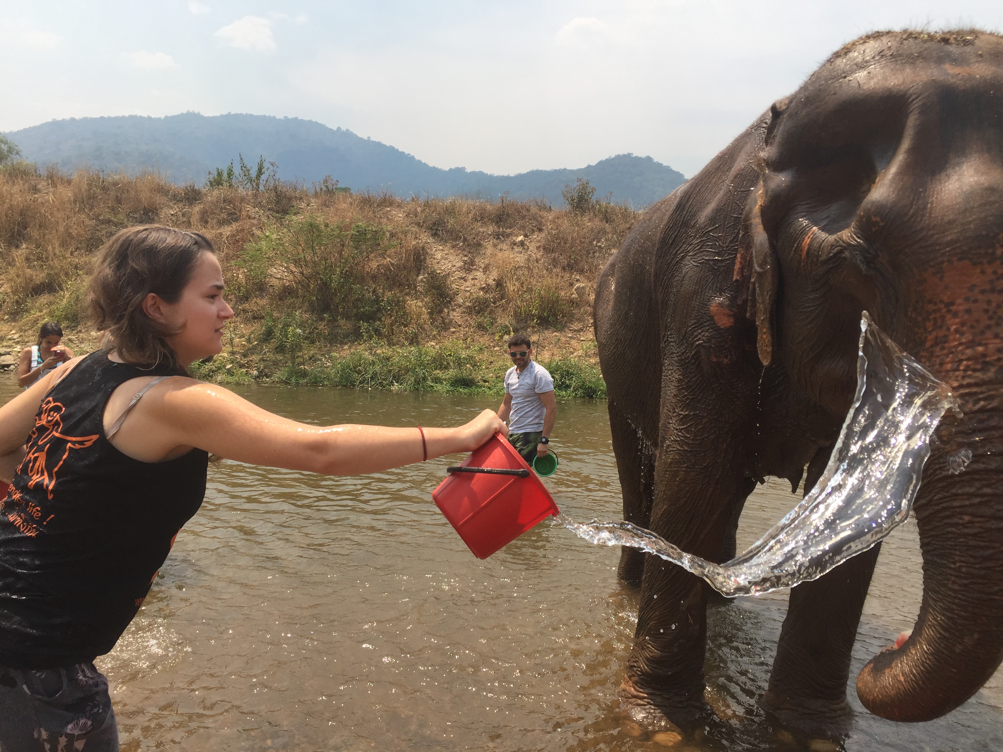 girl throwing water over elephant in river